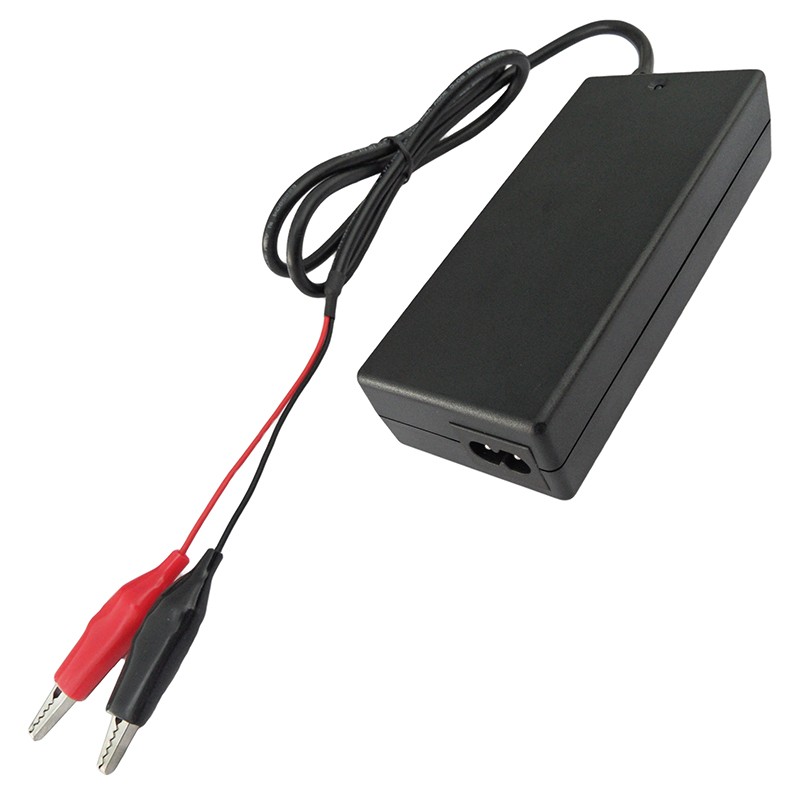 Lithium battery smart charger